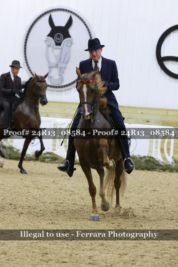 Proof 24R13_08584