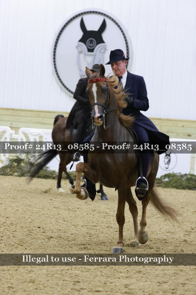 Proof 24R13_08585