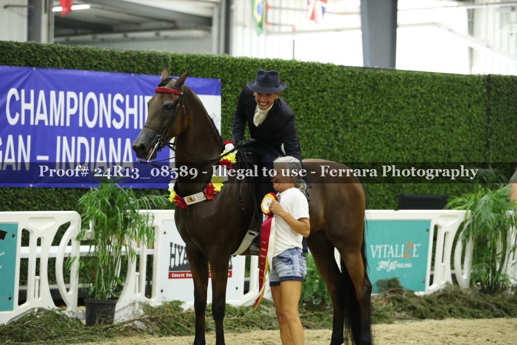 Proof 24R13_08589