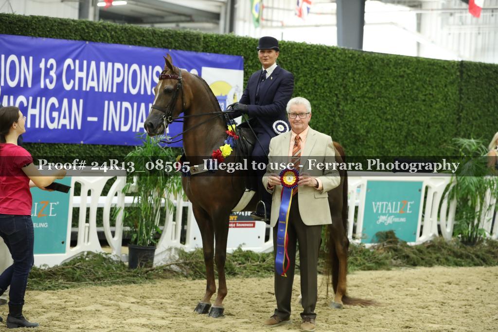 Proof 24R13_08595