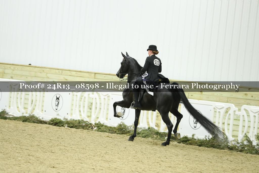 Proof 24R13_08598