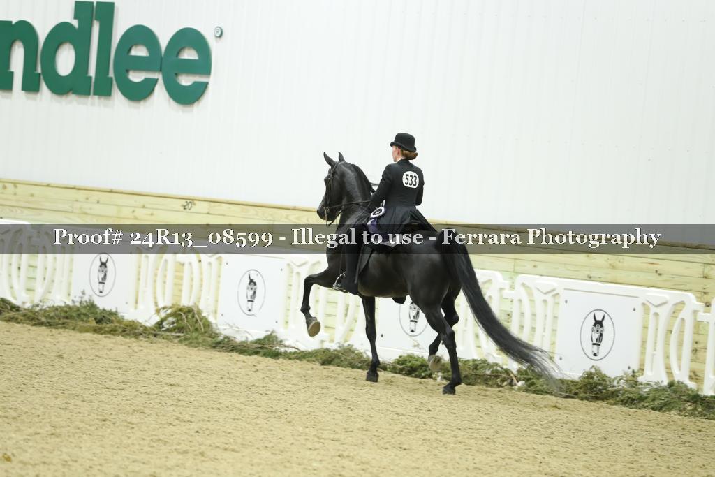 Proof 24R13_08599