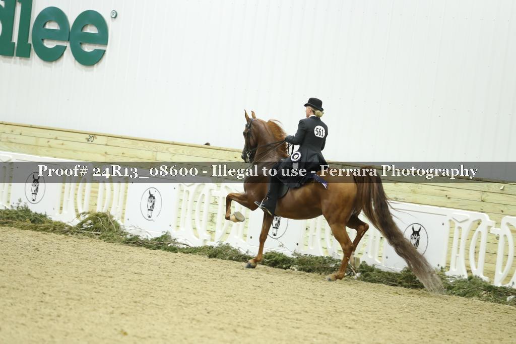 Proof 24R13_08600