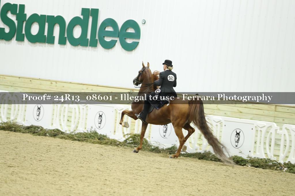 Proof 24R13_08601