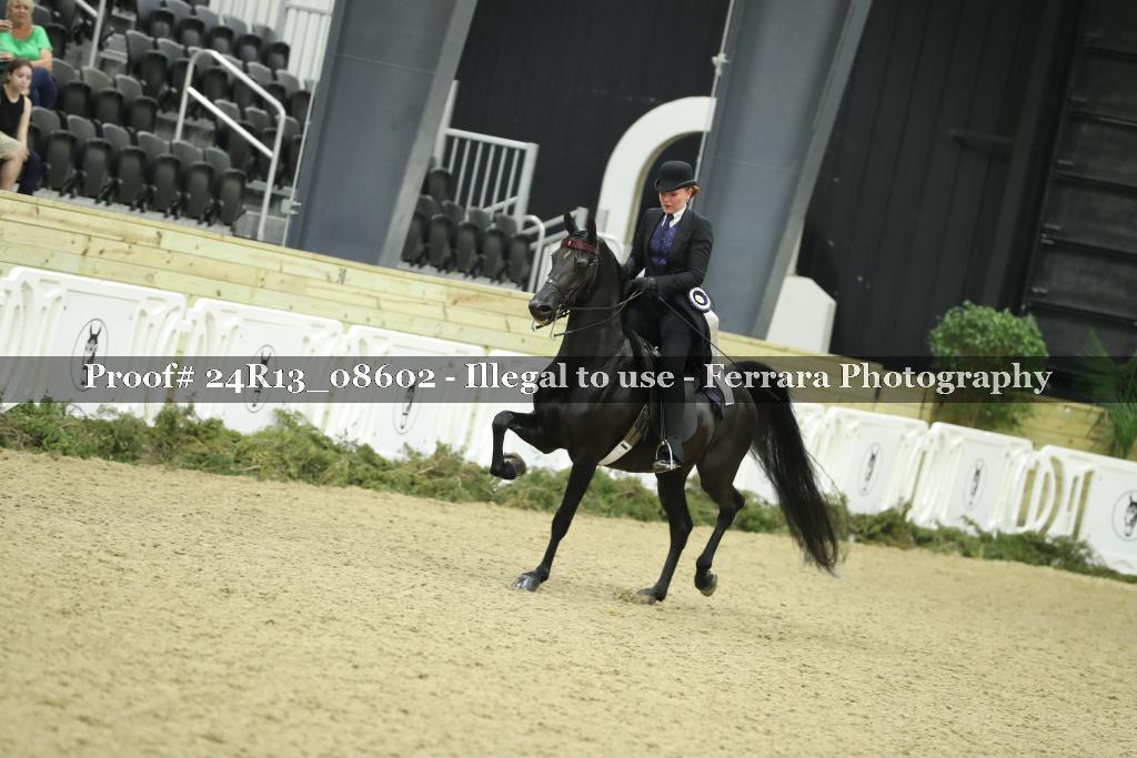 Proof 24R13_08602