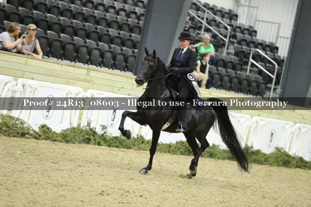 Proof 24R13_08603
