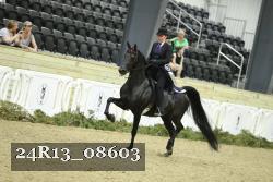 24R13_08603 proof