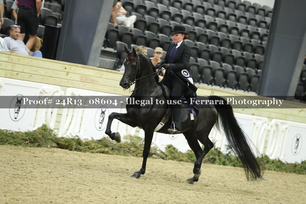 Proof 24R13_08604