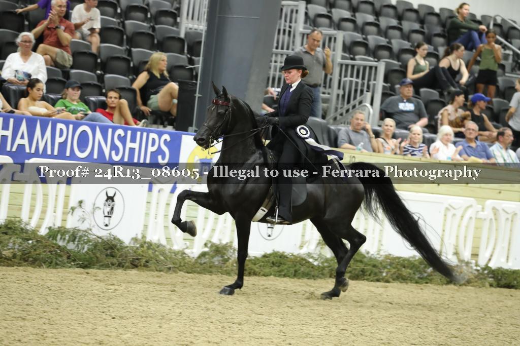 Proof 24R13_08605