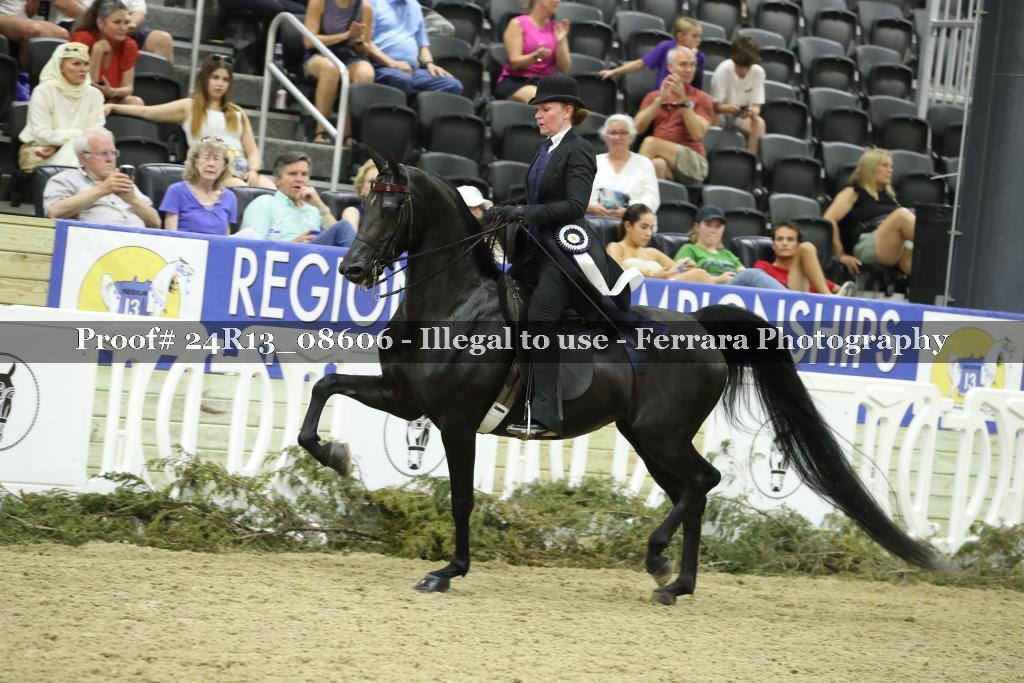 Proof 24R13_08606