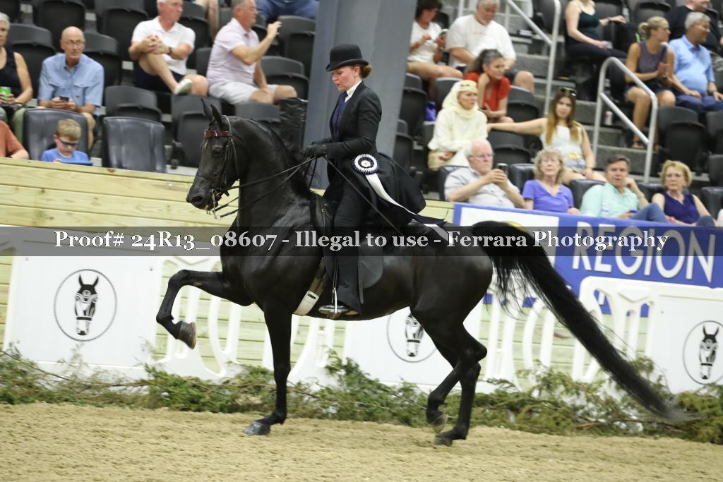 Proof 24R13_08607