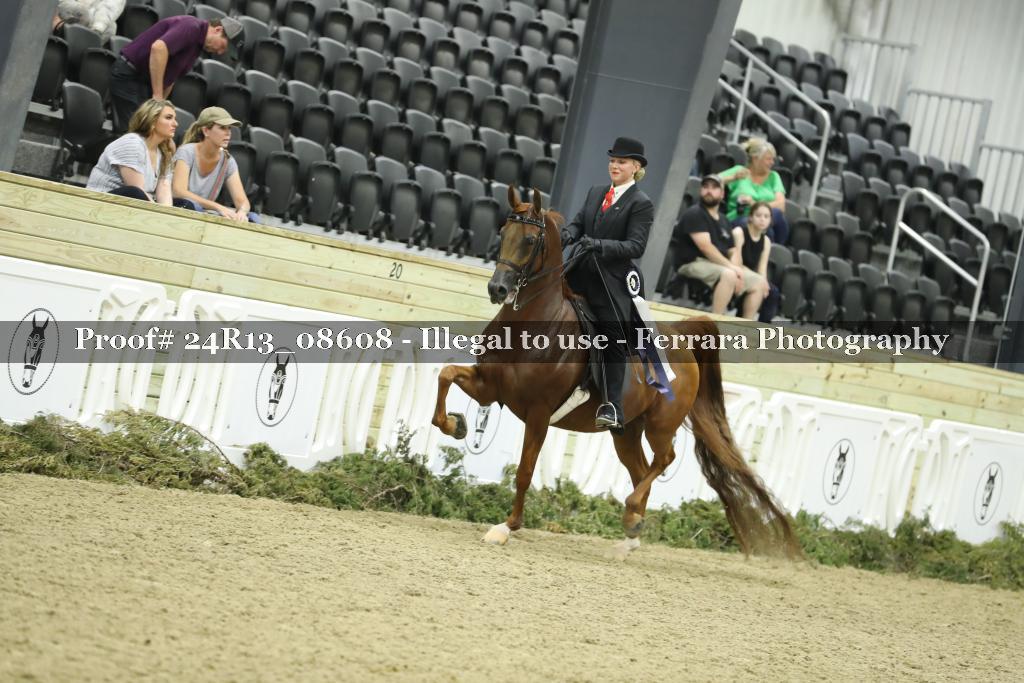 Proof 24R13_08608