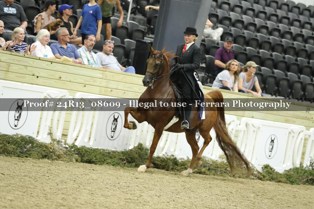 Proof 24R13_08609