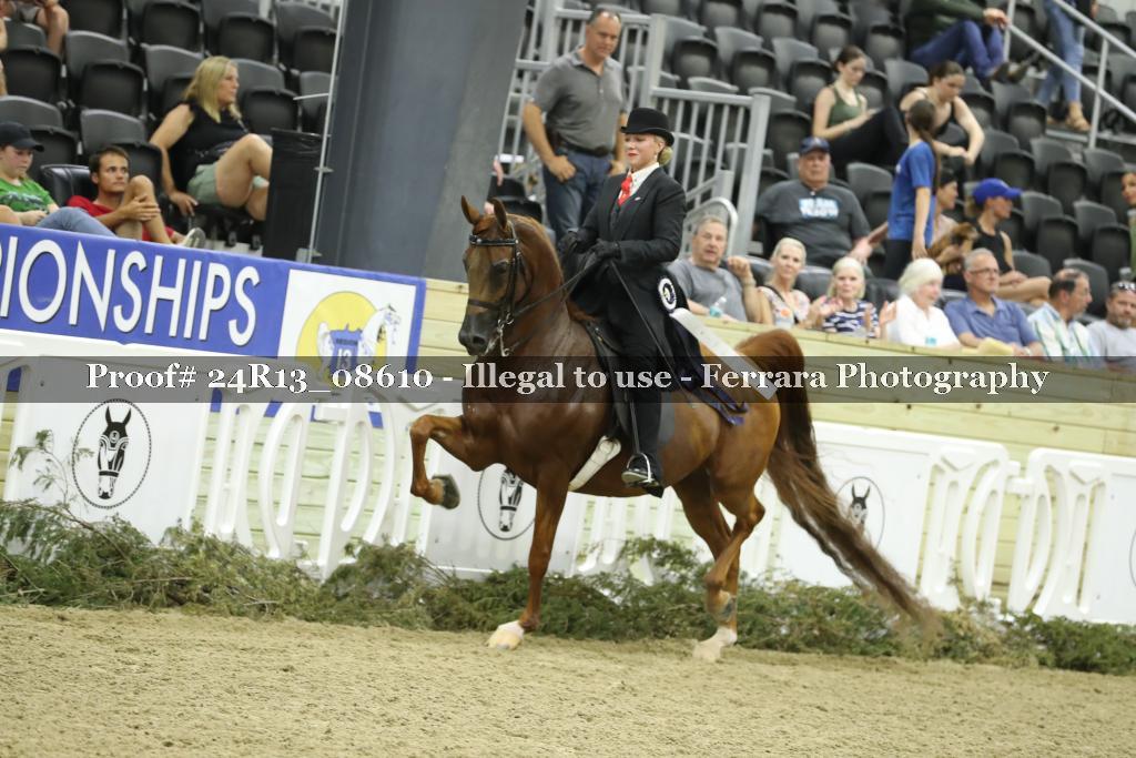 Proof 24R13_08610