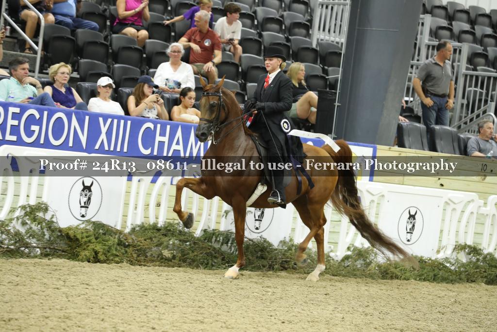 Proof 24R13_08611