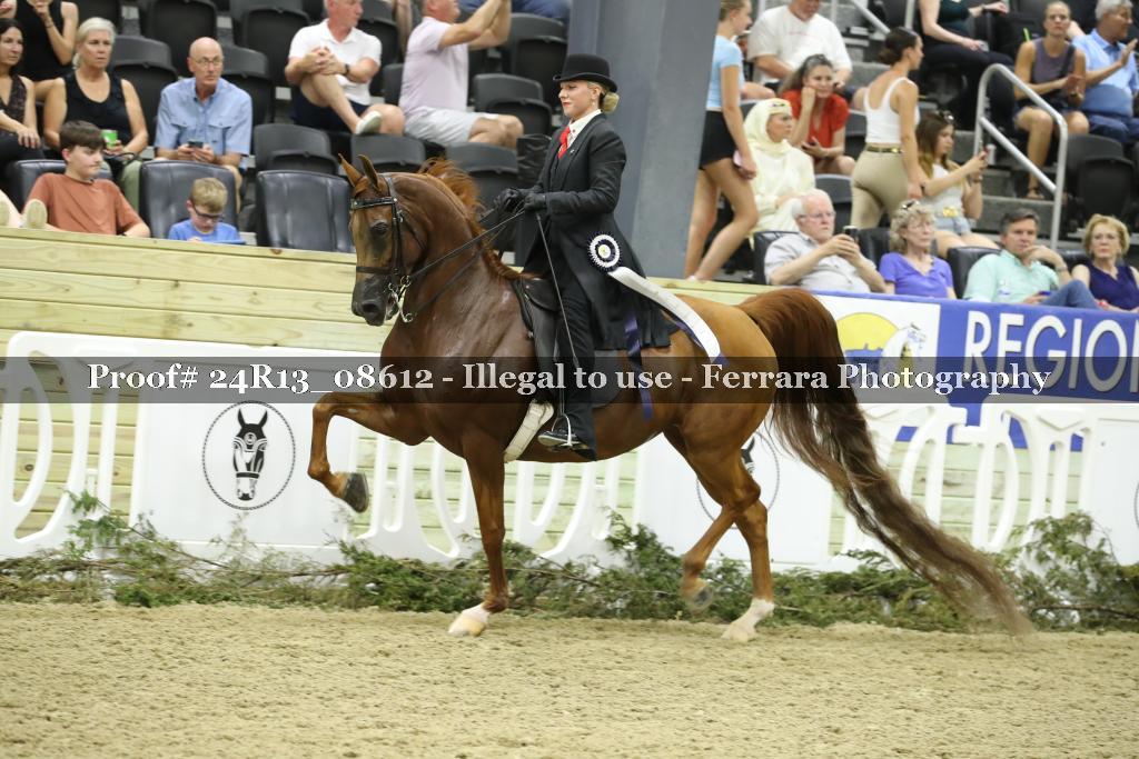 Proof 24R13_08612