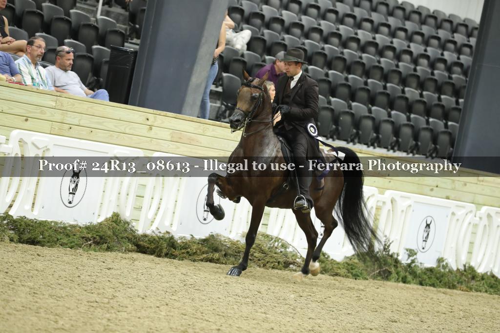 Proof 24R13_08613