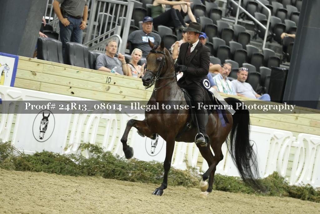 Proof 24R13_08614