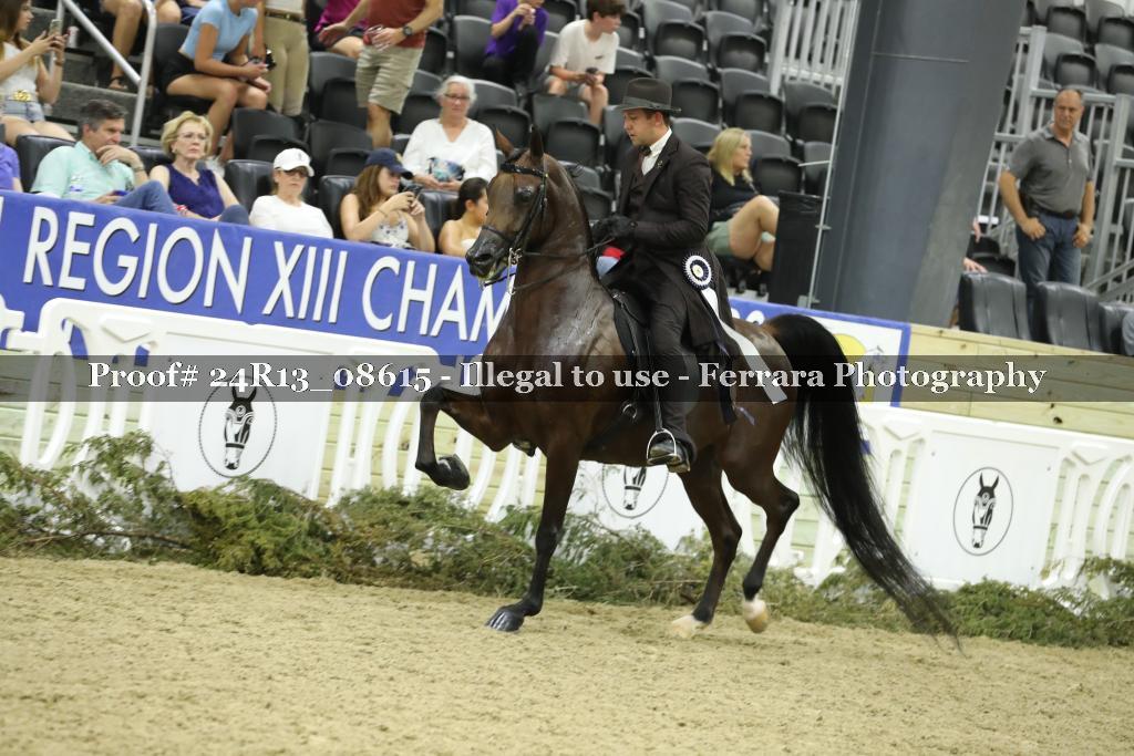 Proof 24R13_08615