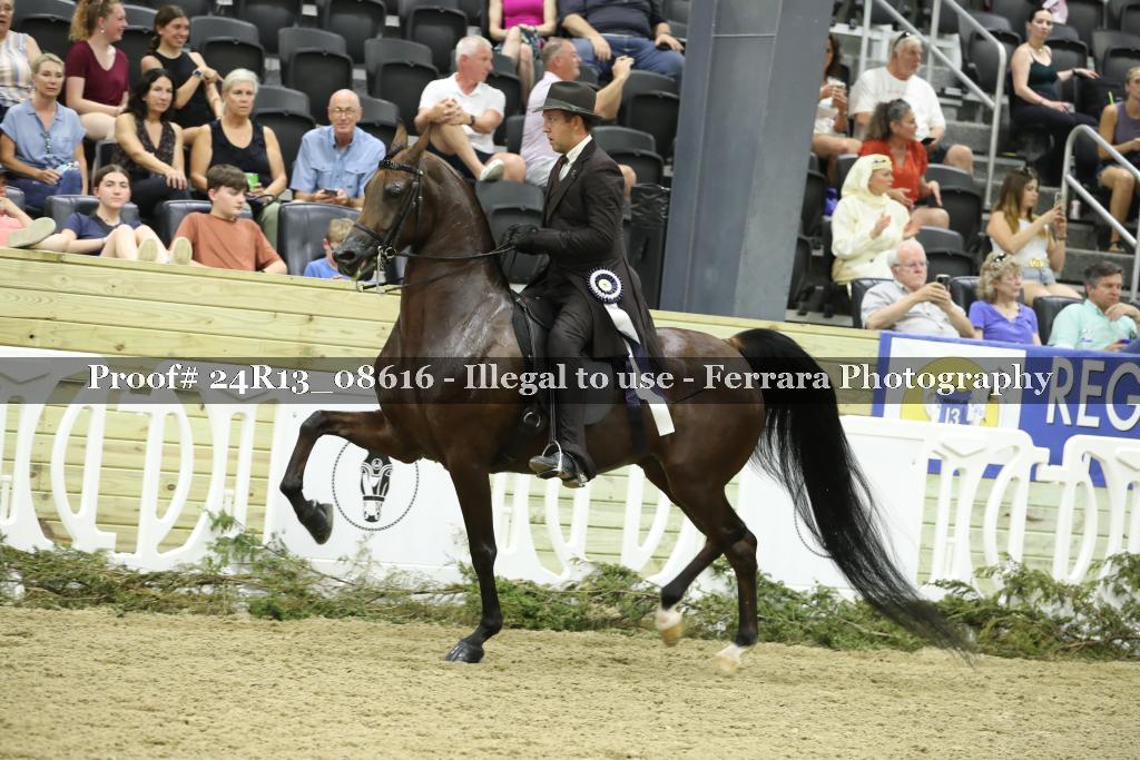 Proof 24R13_08616