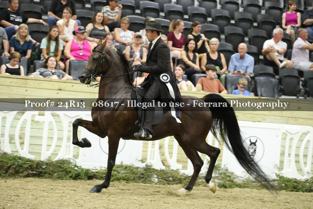 Proof 24R13_08617