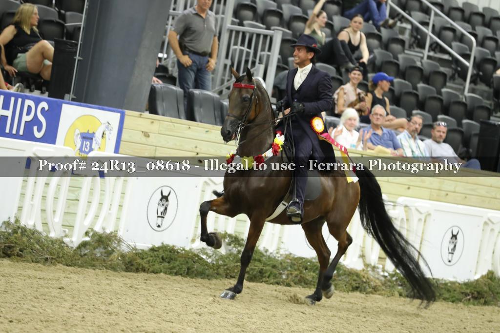 Proof 24R13_08618