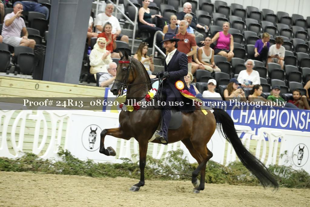 Proof 24R13_08620