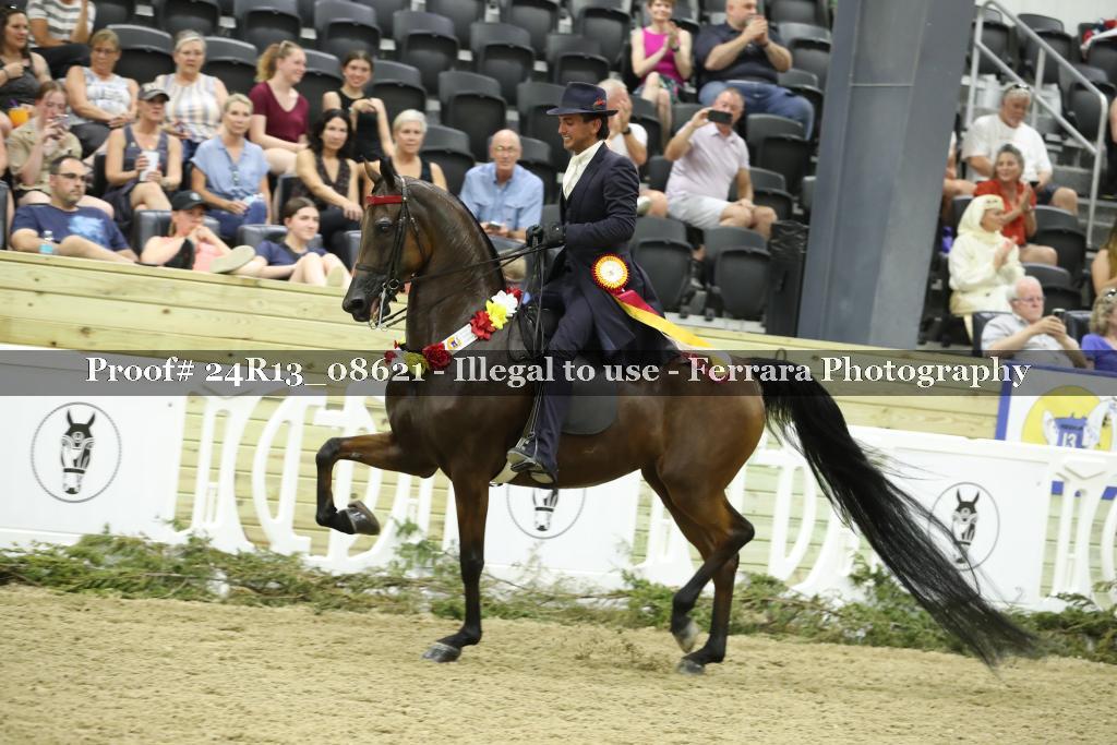 Proof 24R13_08621
