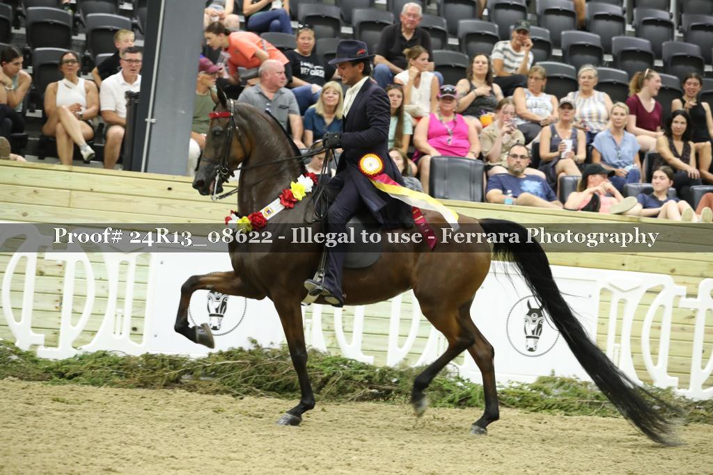 Proof 24R13_08622