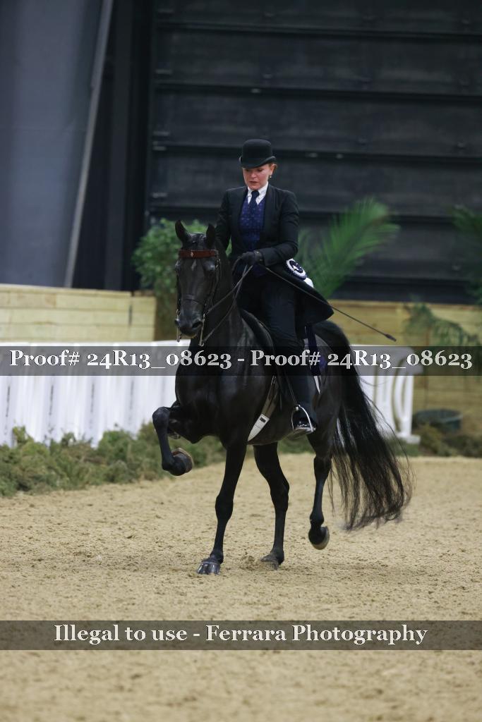 Proof 24R13_08623