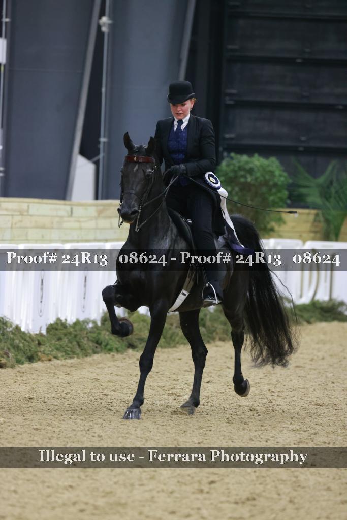 Proof 24R13_08624