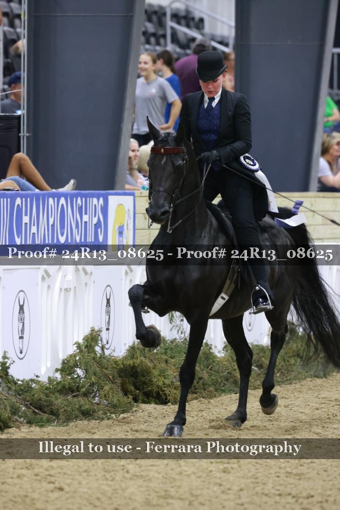 Proof 24R13_08625