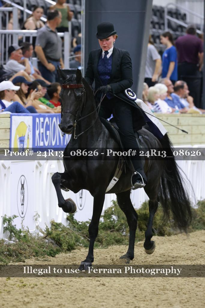Proof 24R13_08626