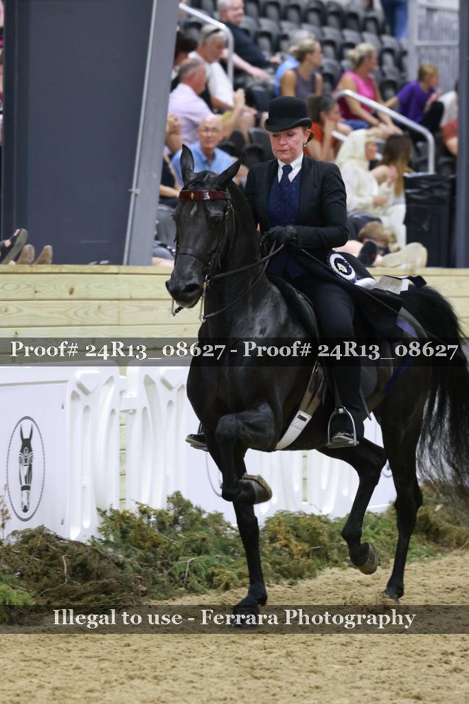 Proof 24R13_08627
