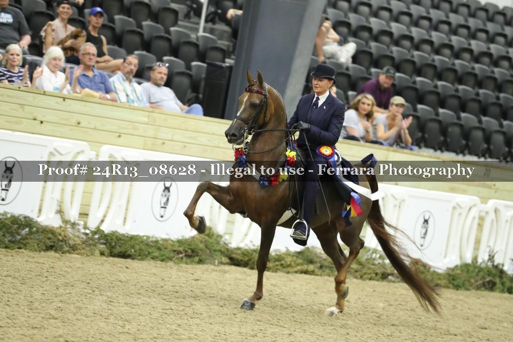 Proof 24R13_08628
