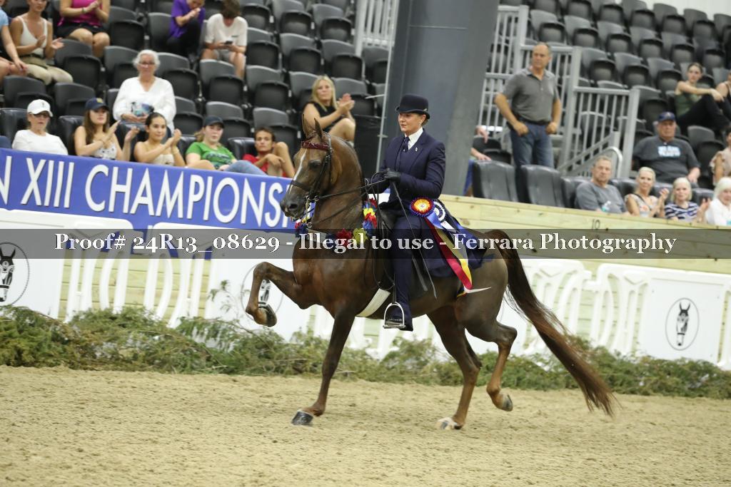 Proof 24R13_08629