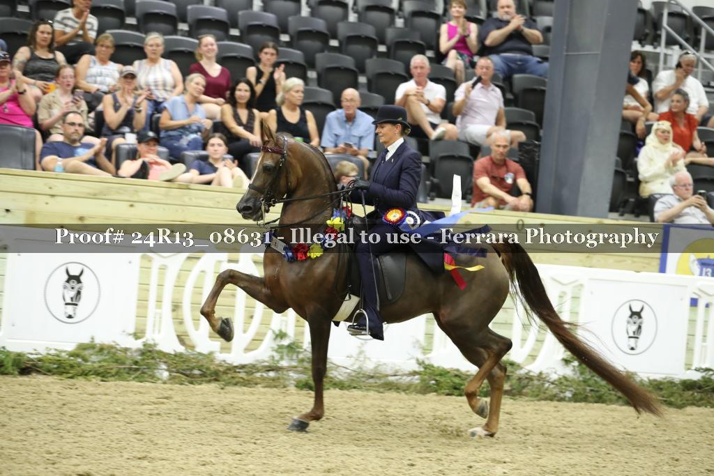 Proof 24R13_08631