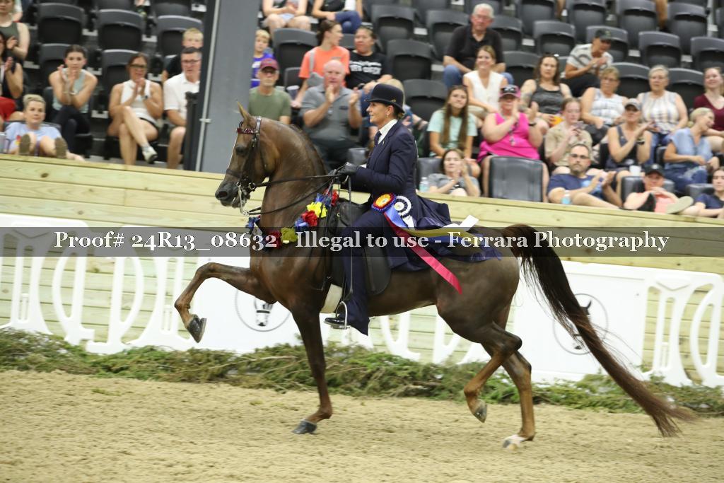 Proof 24R13_08632