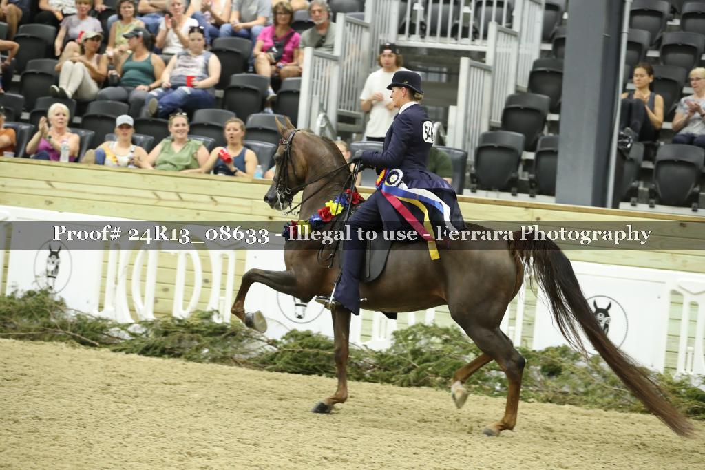Proof 24R13_08633