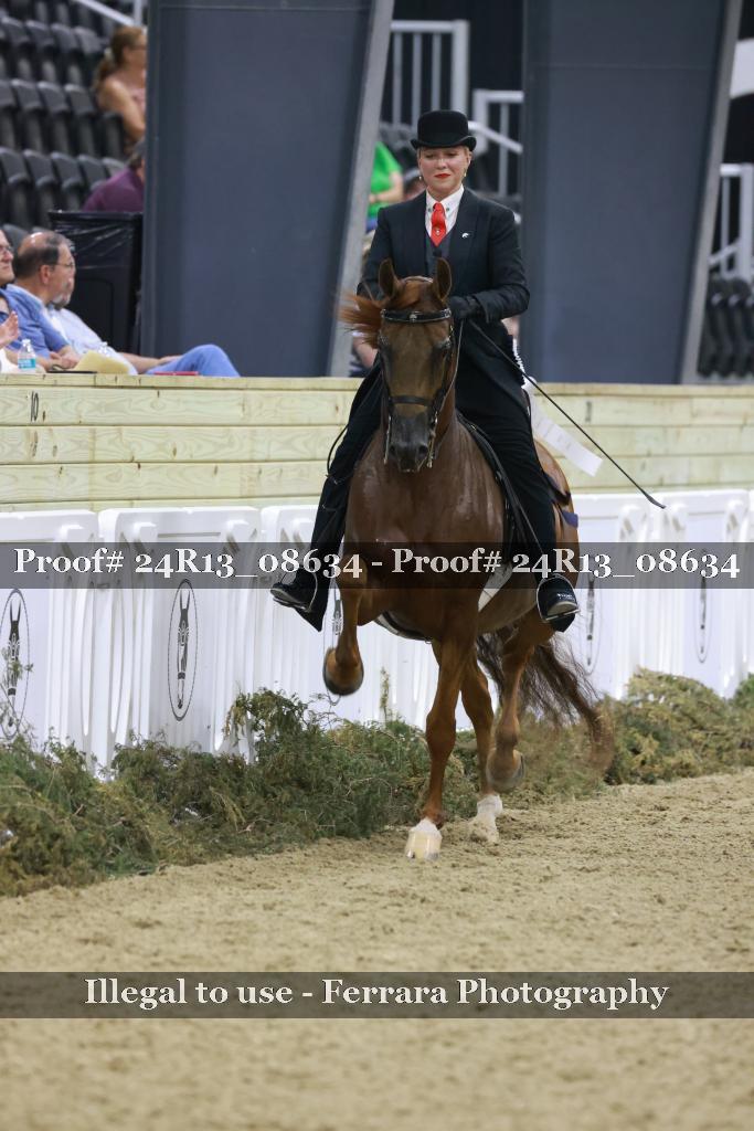 Proof 24R13_08634