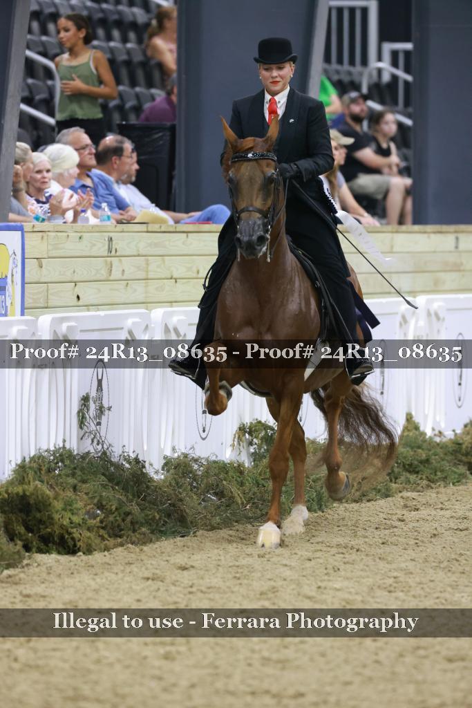 Proof 24R13_08635