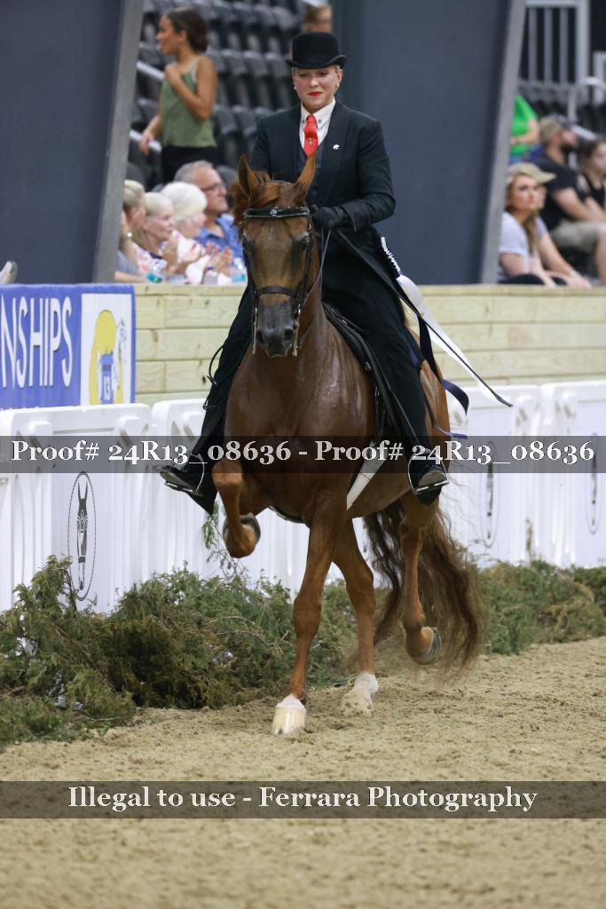 Proof 24R13_08636