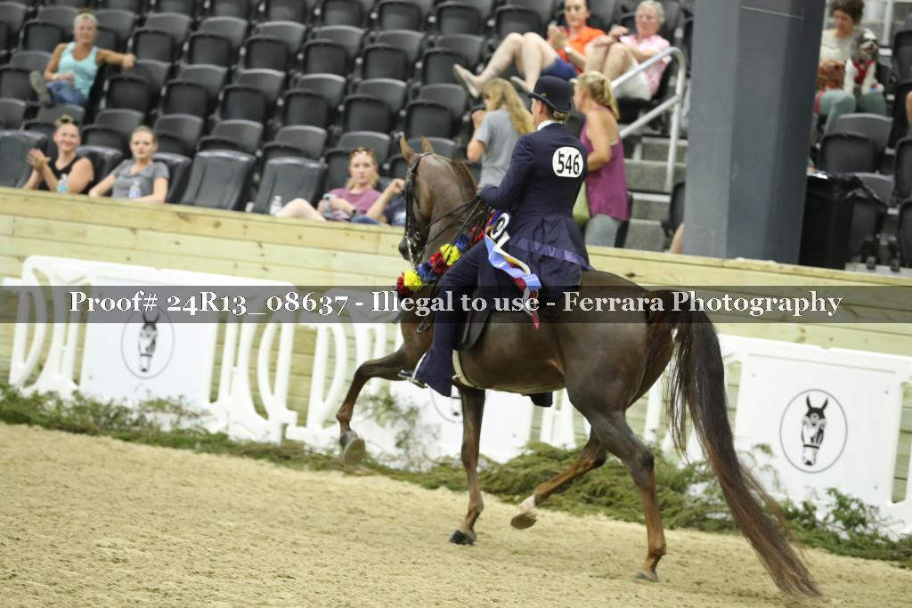 Proof 24R13_08637