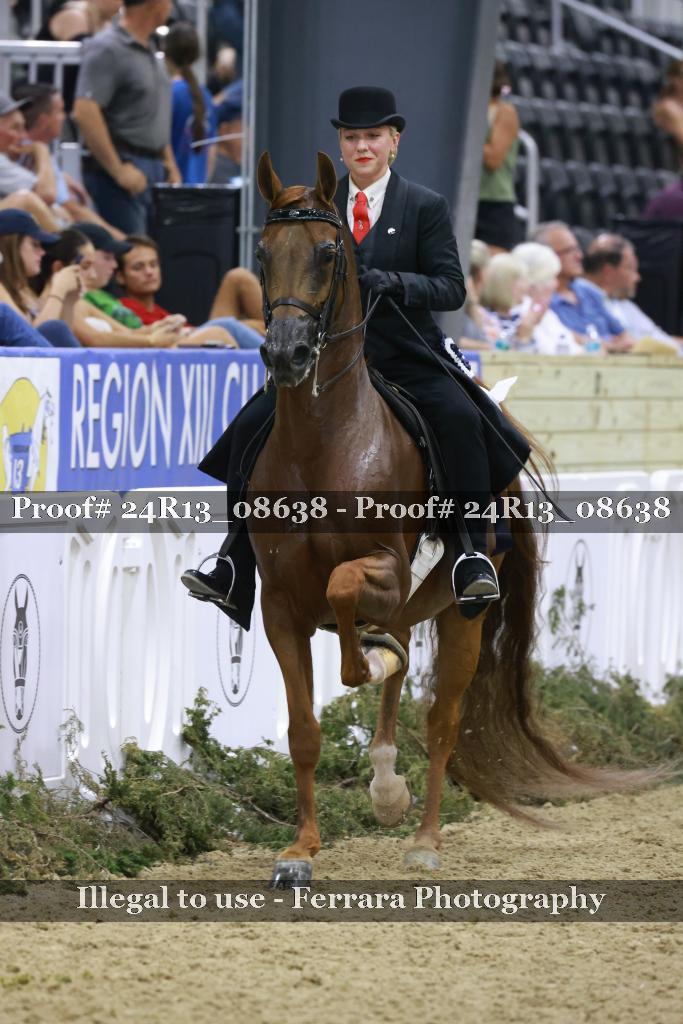 Proof 24R13_08638