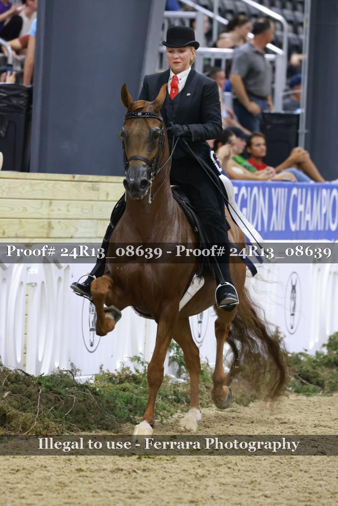 Proof 24R13_08639