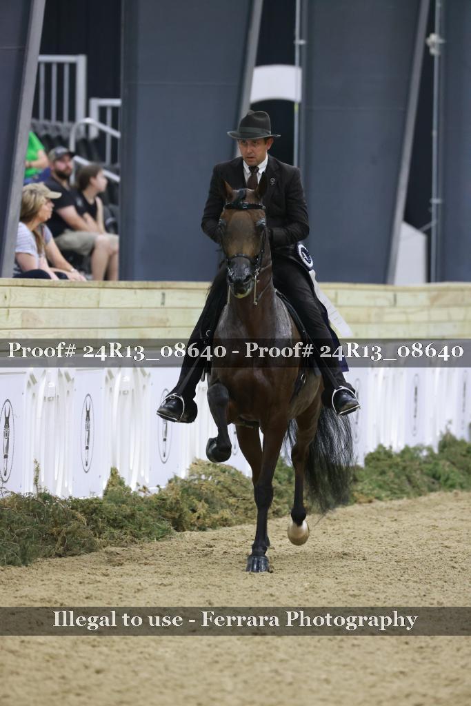 Proof 24R13_08640