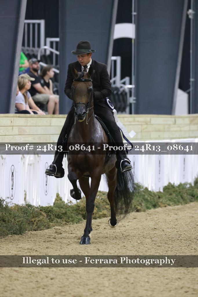 Proof 24R13_08641