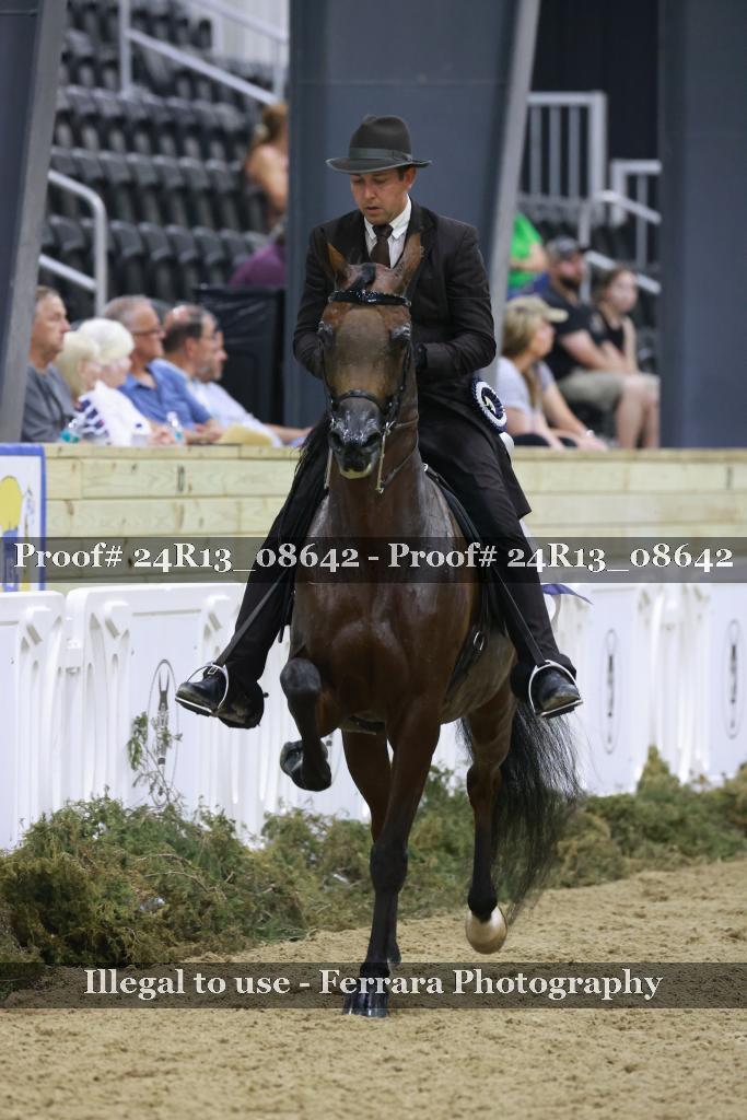 Proof 24R13_08642
