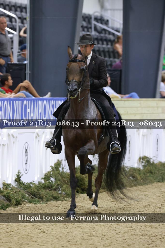 Proof 24R13_08643