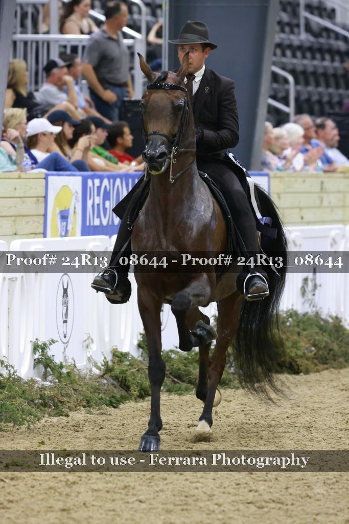 Proof 24R13_08644